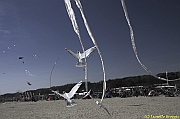 32 FESTIVAL CERVIA 2012 - 177